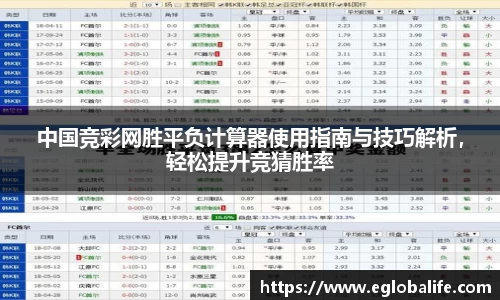 中国竞彩网胜平负计算器使用指南与技巧解析，轻松提升竞猜胜率