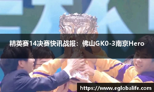 精英赛14决赛快讯战报：佛山GK0-3南京Hero